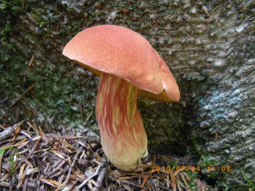 ??